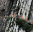 国内外瑜伽爱好者在嵩山少林的悬崖绝壁上练功。王中举 摄 - 中国新闻社河南分社
