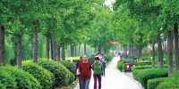 300米见绿、500米见园 至2020年郑州此景可待 - 河南一百度