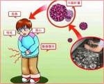 餐饮企业食堂餐具碗筷如何解决消毒杀菌和大肠杆菌超标的问题 - 郑州新闻热线