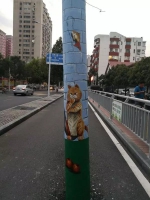 郑州有条2公里的网红路：长颈鹿、加菲猫爬上电线杆！你去过吗? - 河南一百度