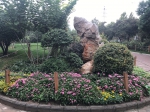 郑州这个公园内，立体花坛五彩缤纷 - 河南一百度