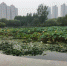 郑州积极“备考”国家生态园林城市！河南目前仅这个城市获此荣誉 - 河南一百度