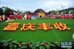 中国农民丰收节 - 河南频道新闻
