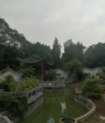 郑州市专业层次最高的盆景展，将亮相人民公园 - 河南一百度