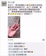 郑州一男子在小区遛狗，狗吃下的火腿肠中竟暗藏鱼钩！律师：违法 - 河南一百度