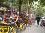 郑州街头不足百米现3座共享单车“大山” - 河南一百度
