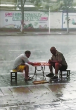 还记得雨中下棋的两位郑州大爷吗?他们要去参加棋王赛啦! - 河南一百度