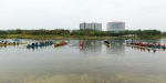 罗杰斯捐赛艇、王石划赛艇 郑州的赛艇挑战赛引来大咖助阵！ - 河南一百度