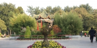 除了开封，郑州也能赏菊花：人民公园4万盆菊花绽放 - 河南一百度