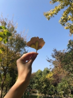 雨过天晴，郑州再现“屏保蓝”，真养眼！ - 河南一百度