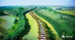 建设“森林河南”，重温“绿色经典” 一文带你回顾河南日报生态建设“五部曲” - 河南一百度