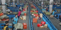 郑州双11爆仓成过往，物流业这些新“员工”让快递“飞起来”！ - 河南一百度