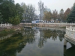 郑州这条河水臭了十几年，被曝光数次，如今终于不臭了! - 河南一百度