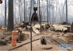 美国加州北部山火遇难人数升至48人 - 河南频道新闻