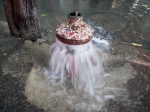 视频丨郑州街头消防栓变身“喷泉” 吓得行人不敢前行 - 河南一百度