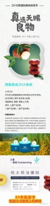 “桃太萌”上榜熊猫指南 喜获“三星农产品”称号 - 郑州新闻热线
