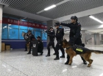 警犬上站巡逻 郑州地铁公安启动社会稳定二级勤务模式 - 河南一百度
