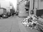 直击郑州小区垃圾清运难样本：淮南街5号院 协调4个部门清不走一堆生活垃圾 - 河南一百度