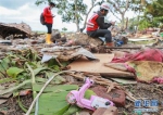 印尼海啸死亡人数升至373人 - 河南频道新闻