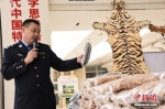 广西缴获大量野生动物制品 - 河南频道新闻
