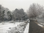 同一个郑州，不同的雪景！ - 河南一百度