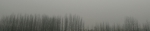 今天河南暂时不下雪了，正下着浓雾和重霾 - 河南一百度