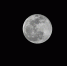 中午的超级红月亮，晚上的超级圆月亮，郑州高清实拍图来了! - 河南一百度