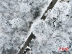 全国多地迎来降雪天气 - 河南频道新闻
