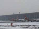 受降雪影响，郑州机场已有20班次航班延误 - 河南一百度