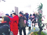 春节假期30万人来郑州碧沙岗公园看花展 - 河南一百度