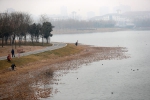 郑州来了“稀客”，全球极濒危鸟类青头潜鸭现身龙子湖 - 河南一百度