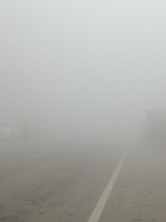 天气的脾气你猜不透，今天大雾有点厚，出门一定慢开车! - 河南一百度