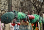 郑州各高校学生“铺天盖地”晒被子！这只玩具熊的姿势亮了…… - 河南一百度
