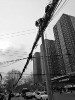 郑州411条路要建地下通信管道 “空中蜘蛛网”今年要入地三分之一 - 河南一百度