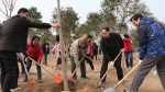 郑州大学积极参加省直单位义务植树活动（图） - 郑州大学