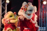 新西兰国博举办“中国舞台日” - 河南频道新闻