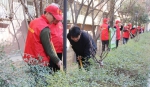 省供销社组织党员志愿者参加植树活动 - 供销合作总社