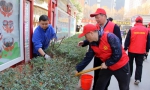 省供销社组织党员志愿者参加植树活动 - 供销合作总社