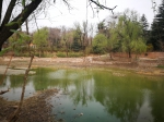 这里曾是郑州的农民公园，如今河水见底鱼儿死亡! - 河南一百度