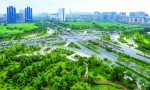 “绿城”郑州7年“增绿”3亿平方米 相当于140个碧沙岗公园 - 河南一百度
