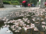 你那里下雨了吗 这个地方还有暴雨 - 河南一百度