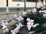 你那里下雨了吗 这个地方还有暴雨 - 河南一百度