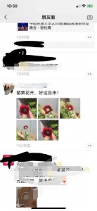 郑州男子朋友圈晒图：罂粟花开，好运自来！结果…… - 河南一百度