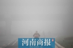 今天的郑州宛如仙境，你有没有被大雾迷了眼? - 河南一百度