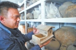 郑州发现汉代墓葬群千件文物 反映两汉真实生活 - 河南频道新闻