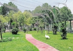 河南省野生动物救护中心建成珍鸟苑 被救治的珍稀鸟类住上星级“酒店” - 河南一百度