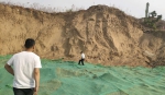 巢穴被防尘网覆盖 郑州众多崖沙燕无家可归 - 河南一百度