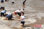 儿童节：郑州千人黄河滩摸鱼寻童趣 - 中国新闻社河南分社