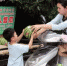 卖瓜难“逼”出了新模式 郑州32个无人摊位已卖8万多斤瓜 - 河南一百度