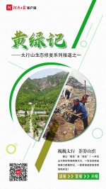 黄绿记——太行山生态修复系列报道之一 - 河南一百度